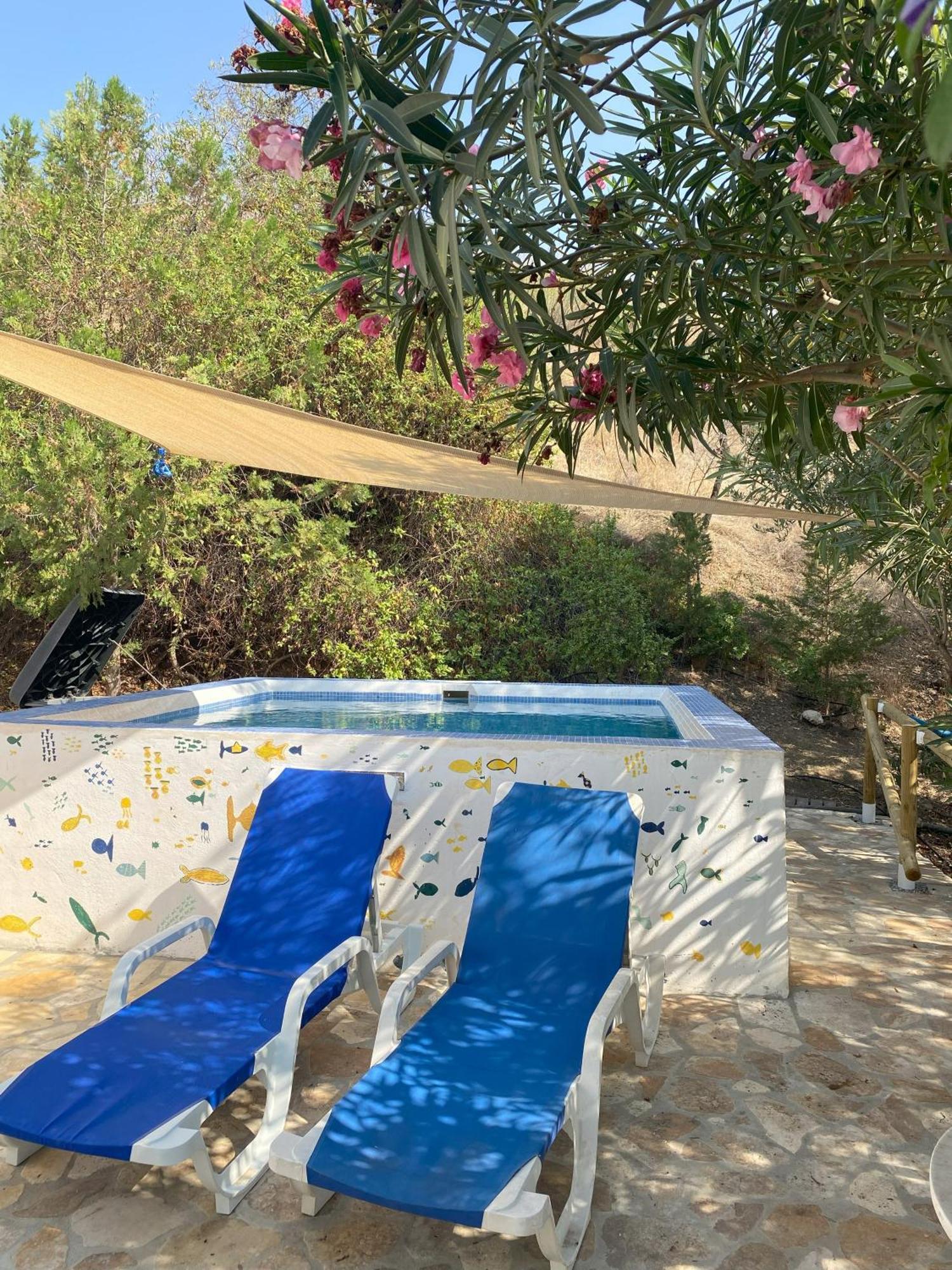 הוילה Iznate Casa Feliz מראה חיצוני תמונה