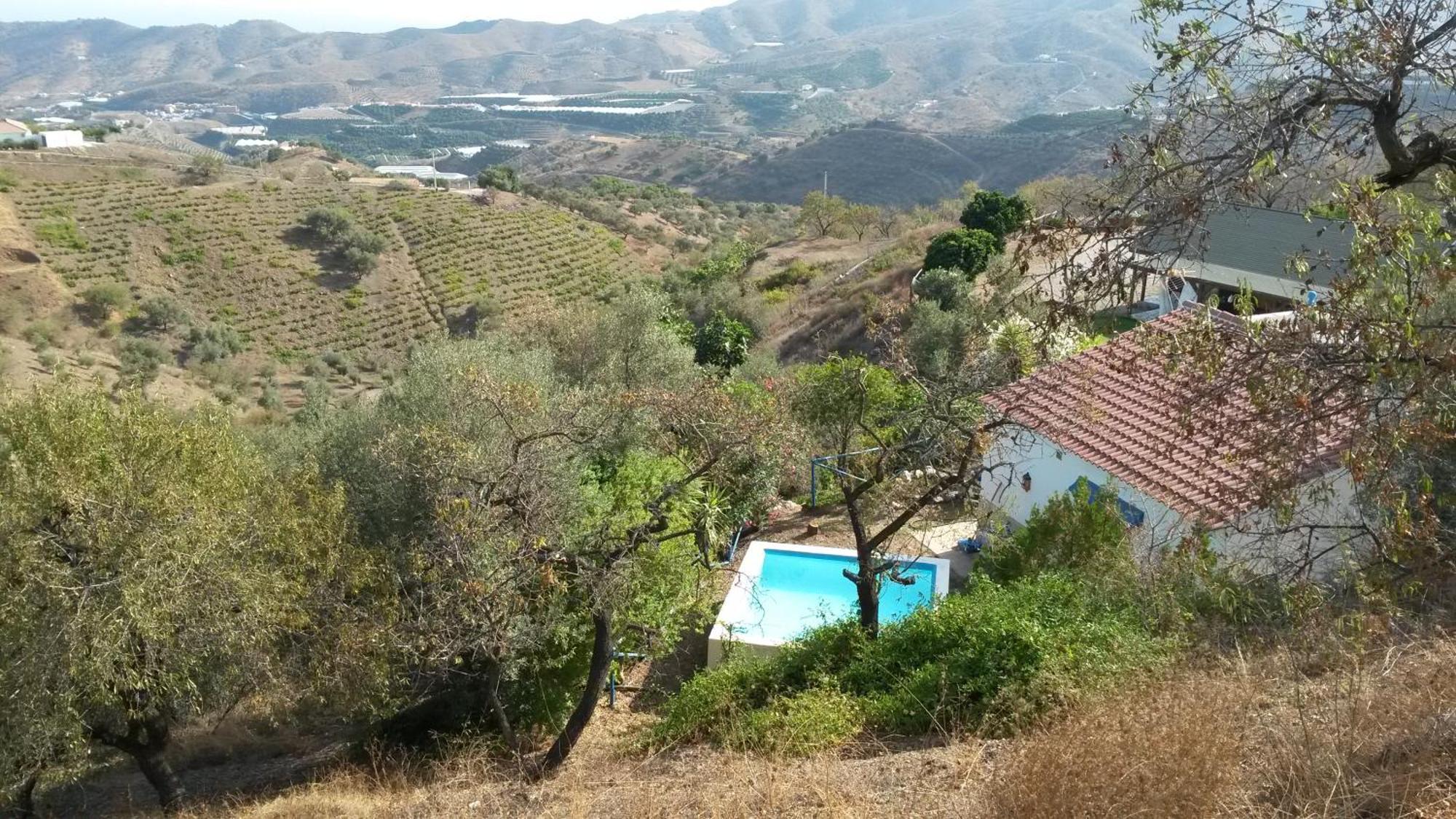 הוילה Iznate Casa Feliz מראה חיצוני תמונה